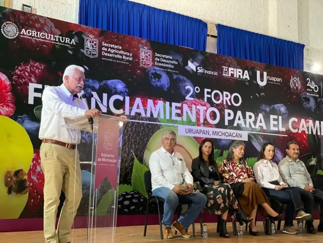 Seguro catastrófico cubrirá este año 38 mil hectáreas de cultivos agrícolas: Sader 