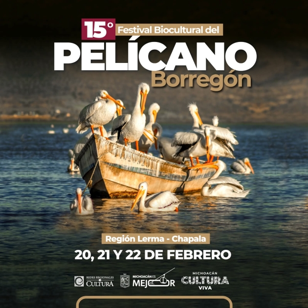 Murales, talleres y tradición: Vive el Festival del Pelícano Borregón del 20 al 22 de febrero 2026 