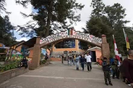 Cierra temporalmente el santuario de la mariposa Monarca El Rosario 