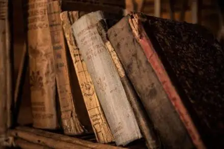 Los hongos y bacterias que habitan los libros Antiguos, dañinos sin duda para los humanos   