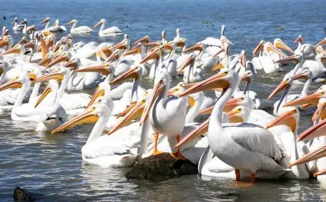 El Cambio Climático: cinco pequeños proyectos ayudan a restaurar el Medio Ambiente y una alternativa para nuevos sustentables 