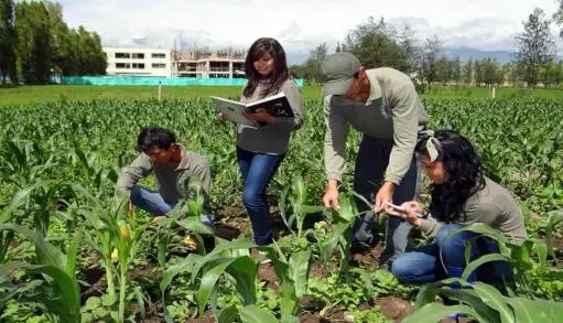 3 de cada 4 programas en México están vinculados con el Desarrollo Sustentable 