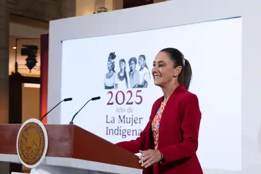 Con el Gobierno de México se han  otorgado  70 mil 256  Apoyos para personas afectadas por las Lluvi 